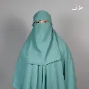 light green 1.webp